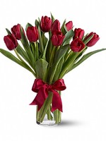 Букет из 11 красных тюльпанов