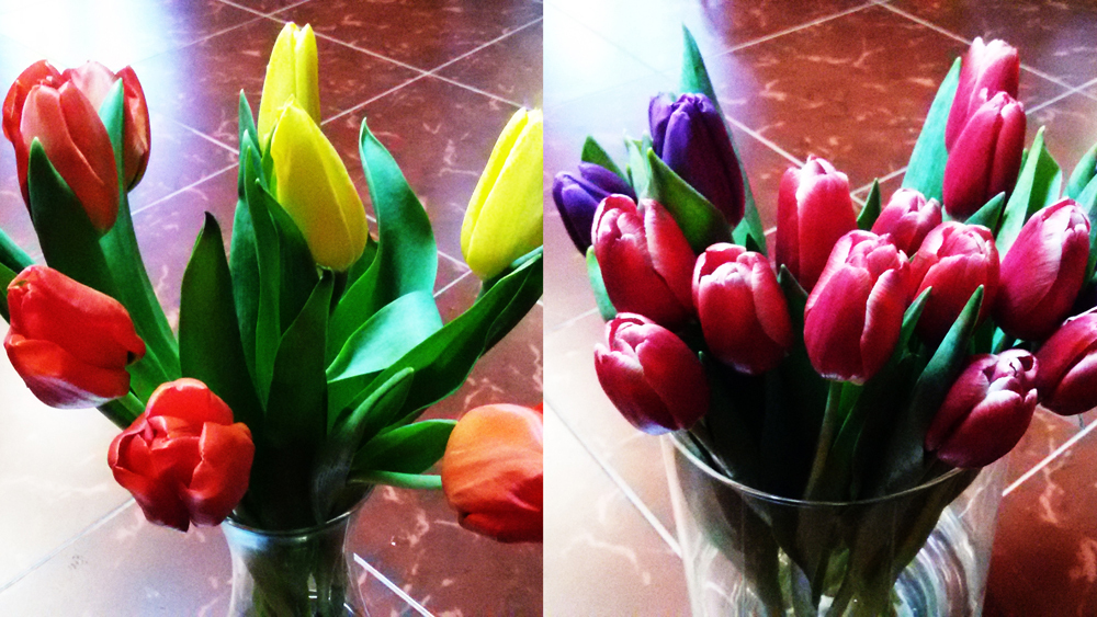 Тюльпаны на 8 марта от "Телефлора" в Минске