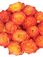 Роза жёлто-оранжевая, 15 шт.