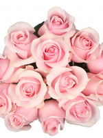 Роза бледно-розовая, 15 шт.