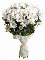 Букет цветов из 7 белых хризантем