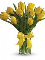 Букет из 11 жёлтых тюльпанов